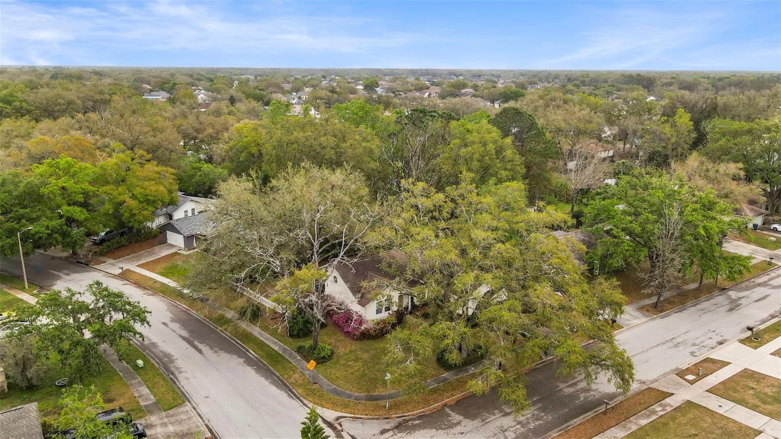 24049 LANDING DR, LUTZ, FL, 33559