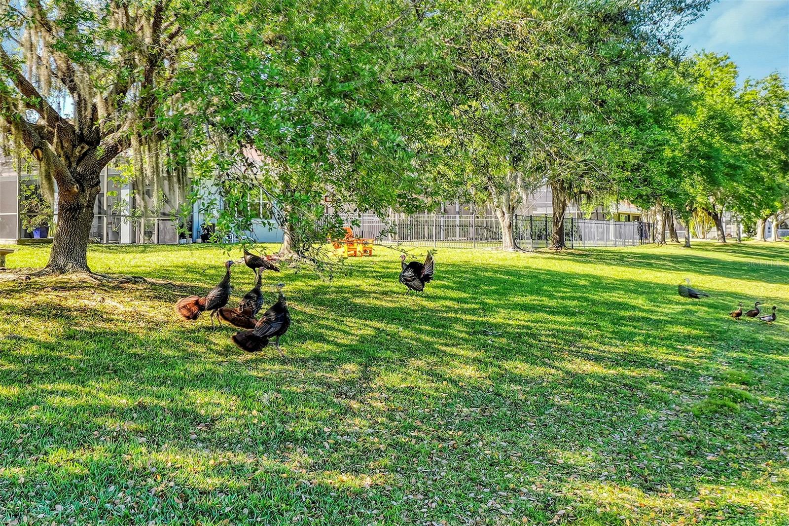 14149 ISLAMORADA DR, ORLANDO, FL, 32837