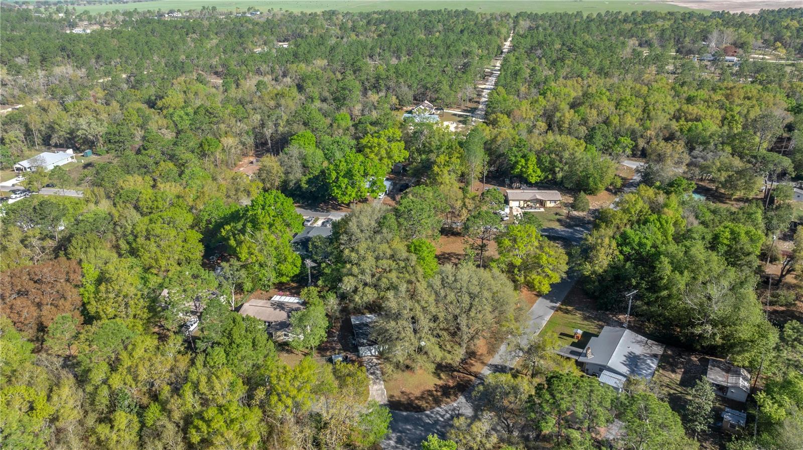 15791 NE 13TH LN, WILLISTON, FL, 32696