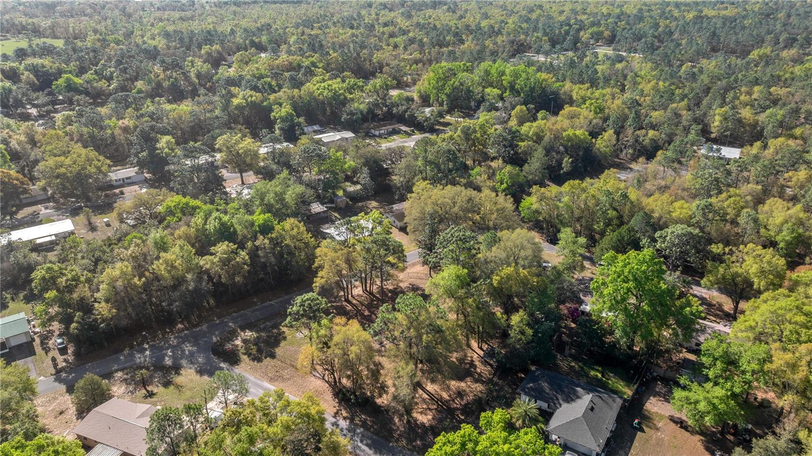 15791 NE 13TH LN, WILLISTON, FL, 32696
