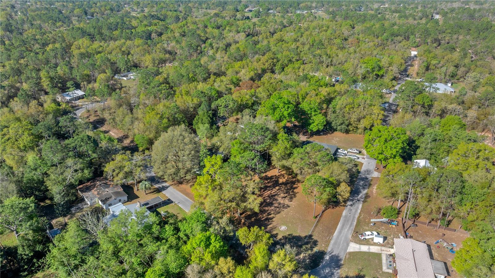 15791 NE 13TH LN, WILLISTON, FL, 32696