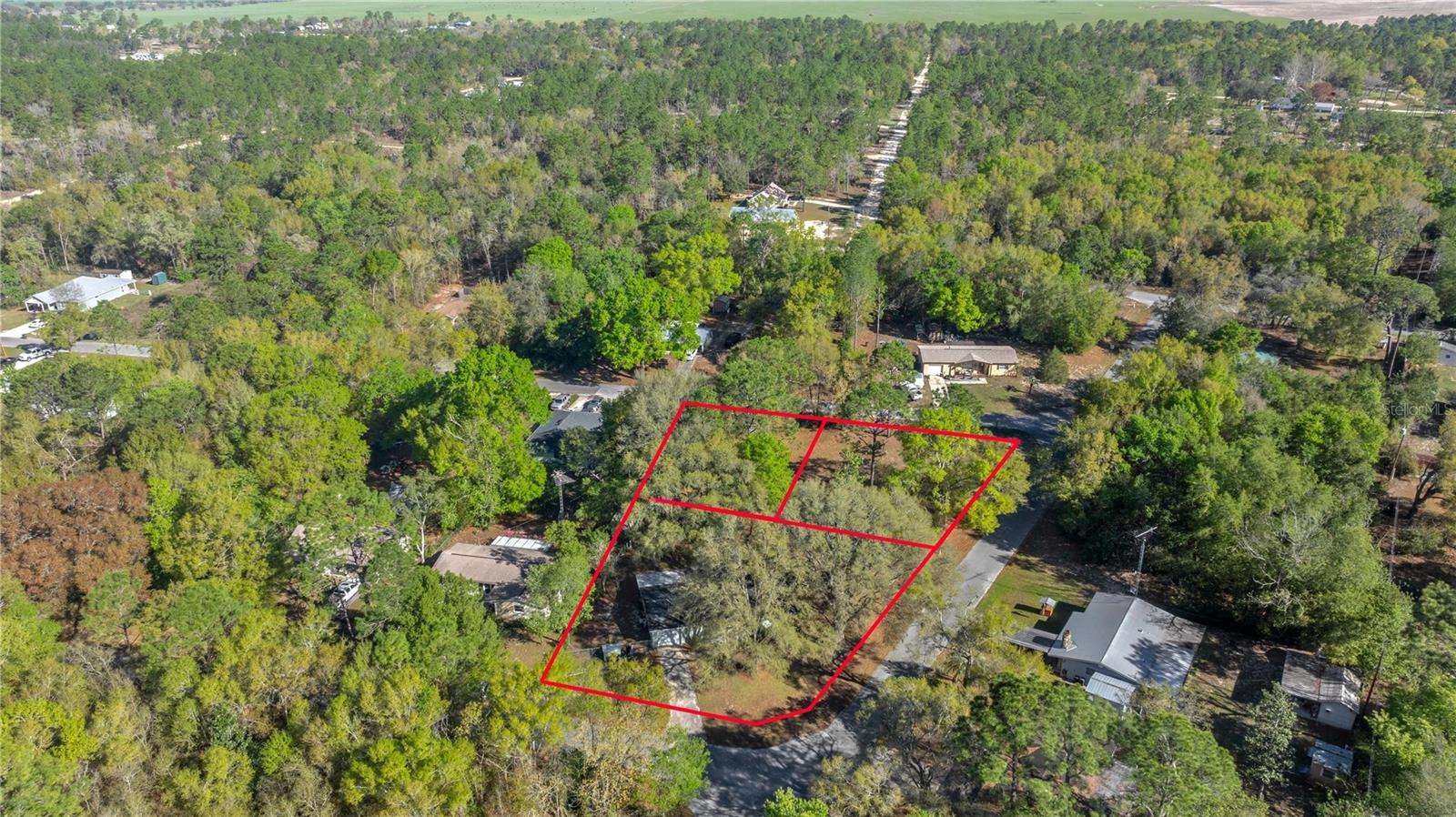 15791 NE 13TH LN, WILLISTON, FL, 32696