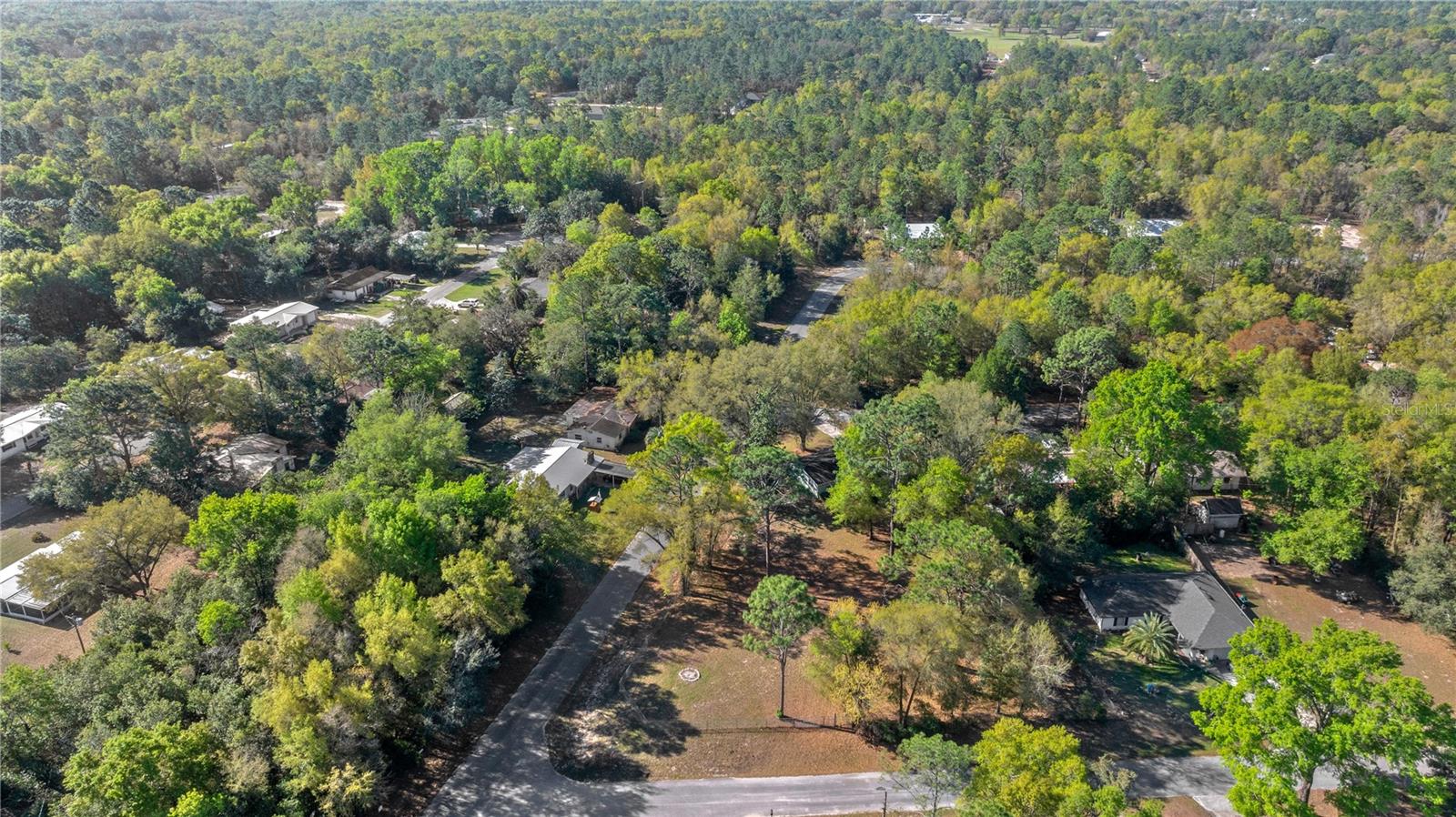 15791 NE 13TH LN, WILLISTON, FL, 32696