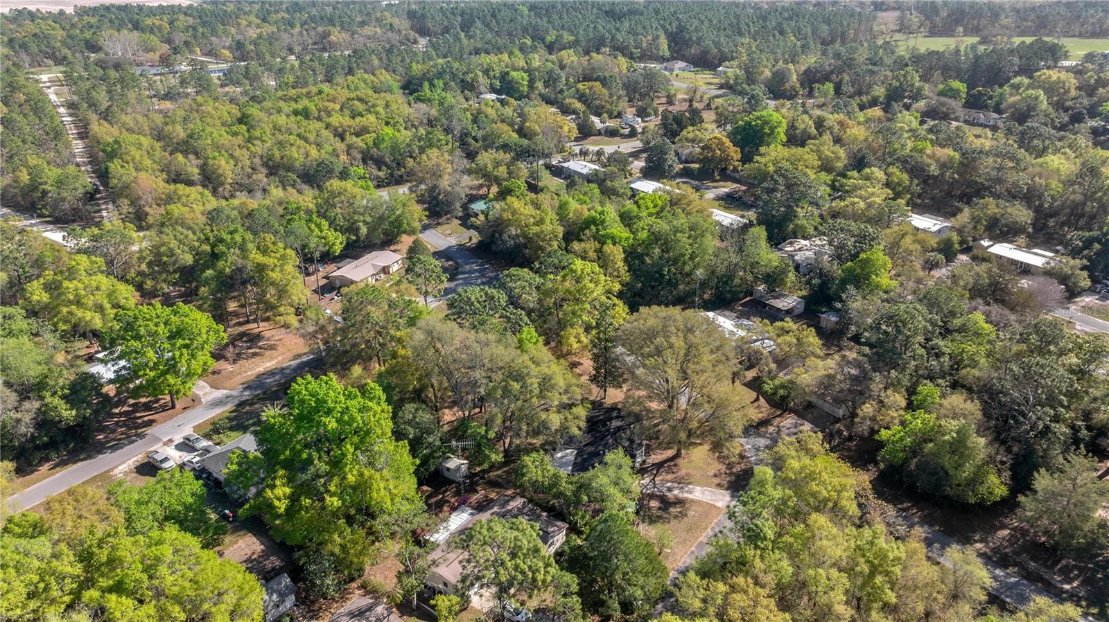 15791 NE 13TH LN, WILLISTON, FL, 32696