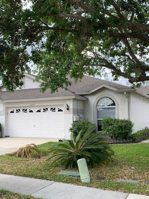 30049 EMMETTS CT, WESLEY CHAPEL, FL, 33543