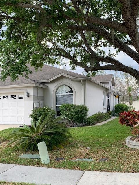 30049 EMMETTS CT, WESLEY CHAPEL, FL, 33543
