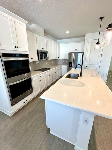 5099 LAKE HAMLIN TRL, WINTER GARDEN, FL, 34787