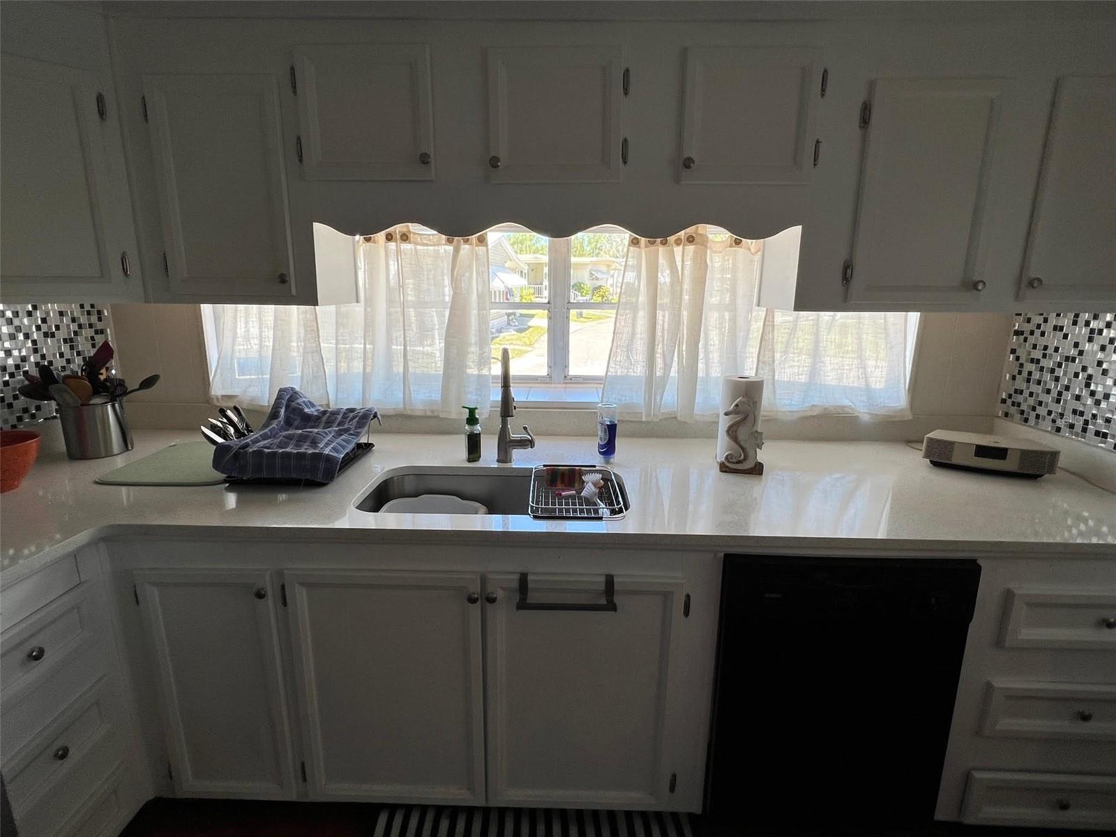 29250 US HIGHWAY 19 N #294, CLEARWATER, FL, 33761