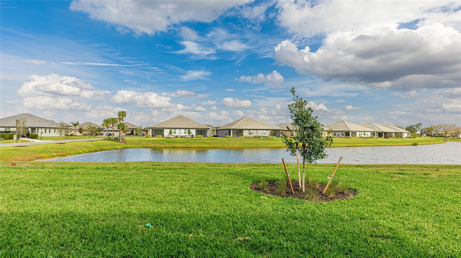 17344 SAVORY MIST CIR, BRADENTON, FL, 34211