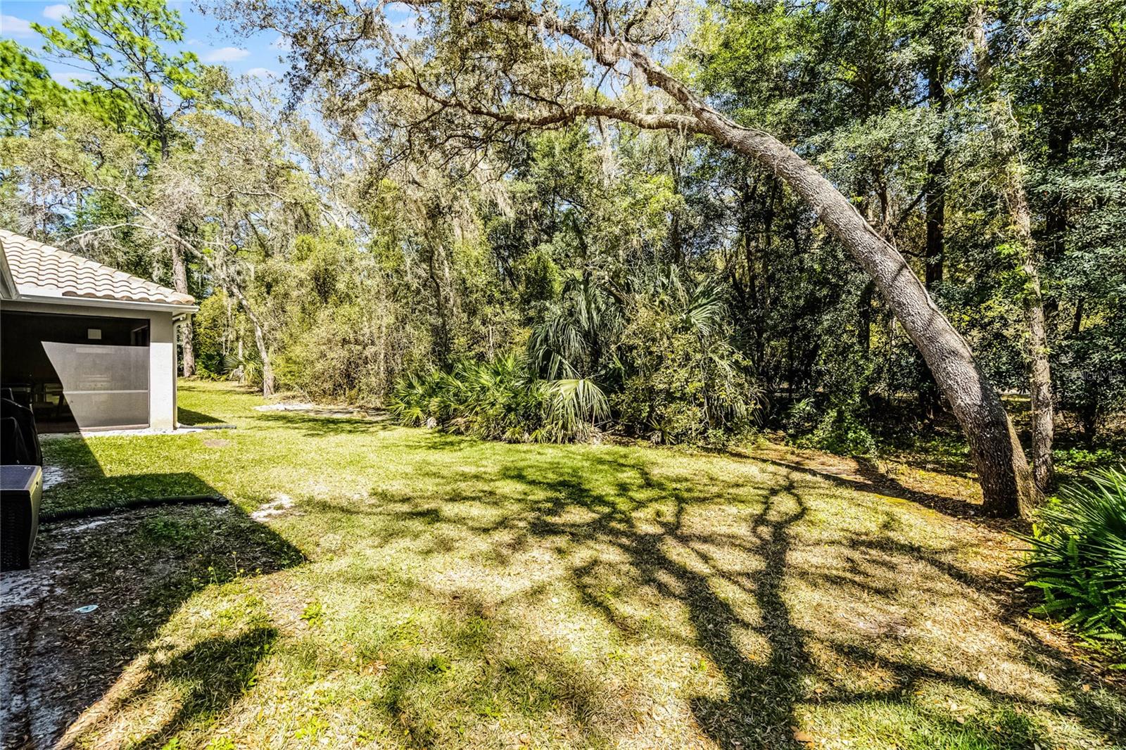 8713 SHIMMERING PINE PL, SANFORD, FL, 32771