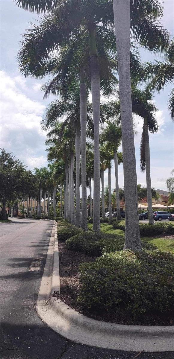 2723 VIA CAPRI #831, CLEARWATER, FL, 33764