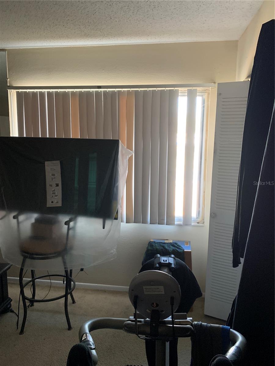 7526 NEEDLE LEAF PL #30, TAMPA, FL, 33617