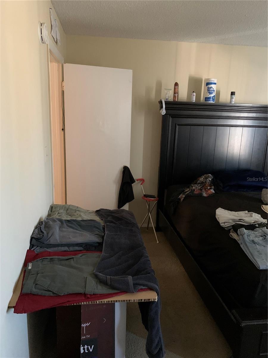 7526 NEEDLE LEAF PL #30, TAMPA, FL, 33617