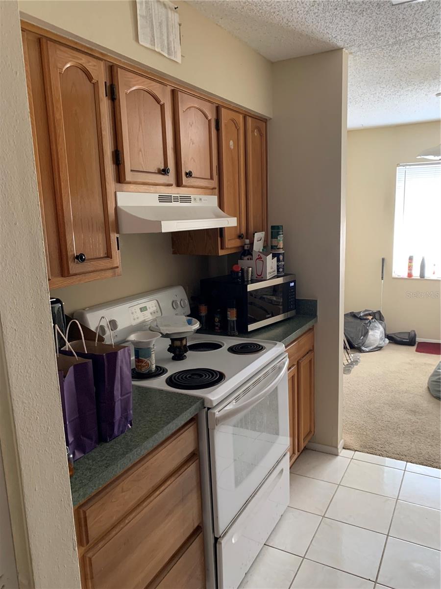 7526 NEEDLE LEAF PL #30, TAMPA, FL, 33617
