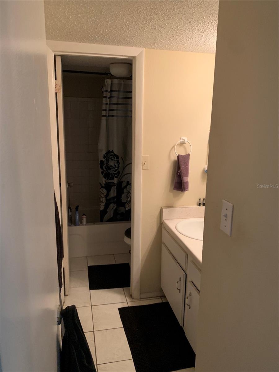 7526 NEEDLE LEAF PL #30, TAMPA, FL, 33617