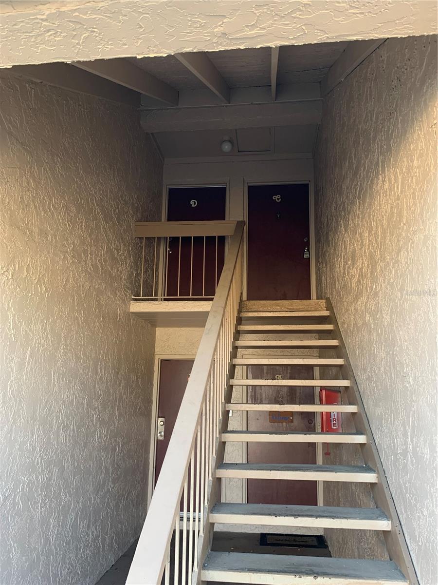 7526 NEEDLE LEAF PL #30, TAMPA, FL, 33617