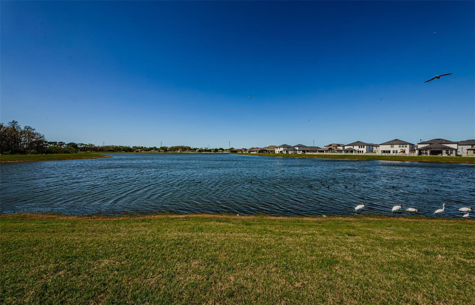 8314 CAPSTONE RANCH DR, NEW PORT RICHEY, FL, 34655