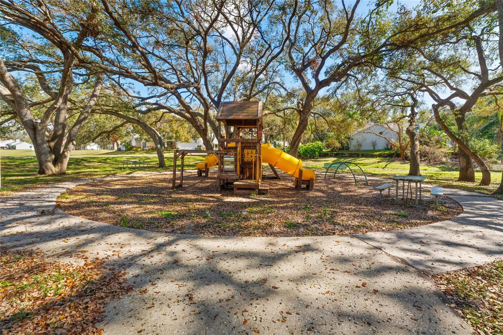 968 EDGEHILL DR, PALM HARBOR, FL, 34684