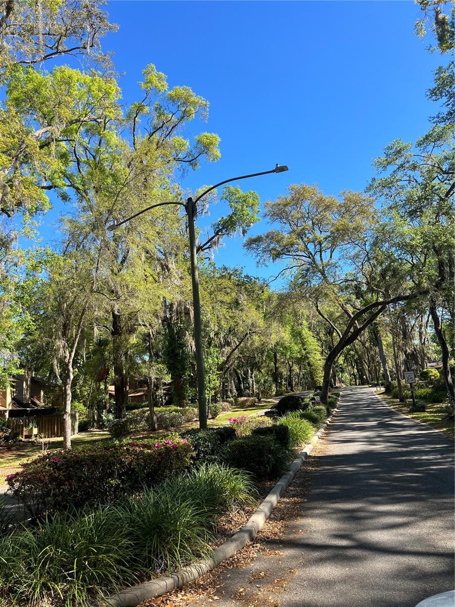 160 CUTBANK TRL, DELAND, FL, 32724