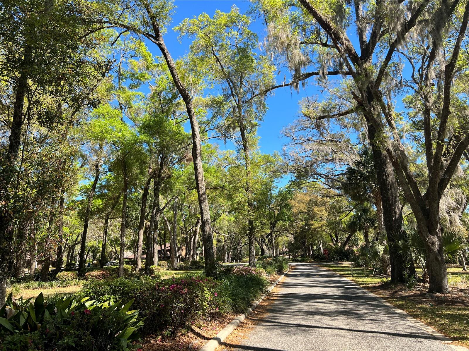 160 CUTBANK TRL, DELAND, FL, 32724