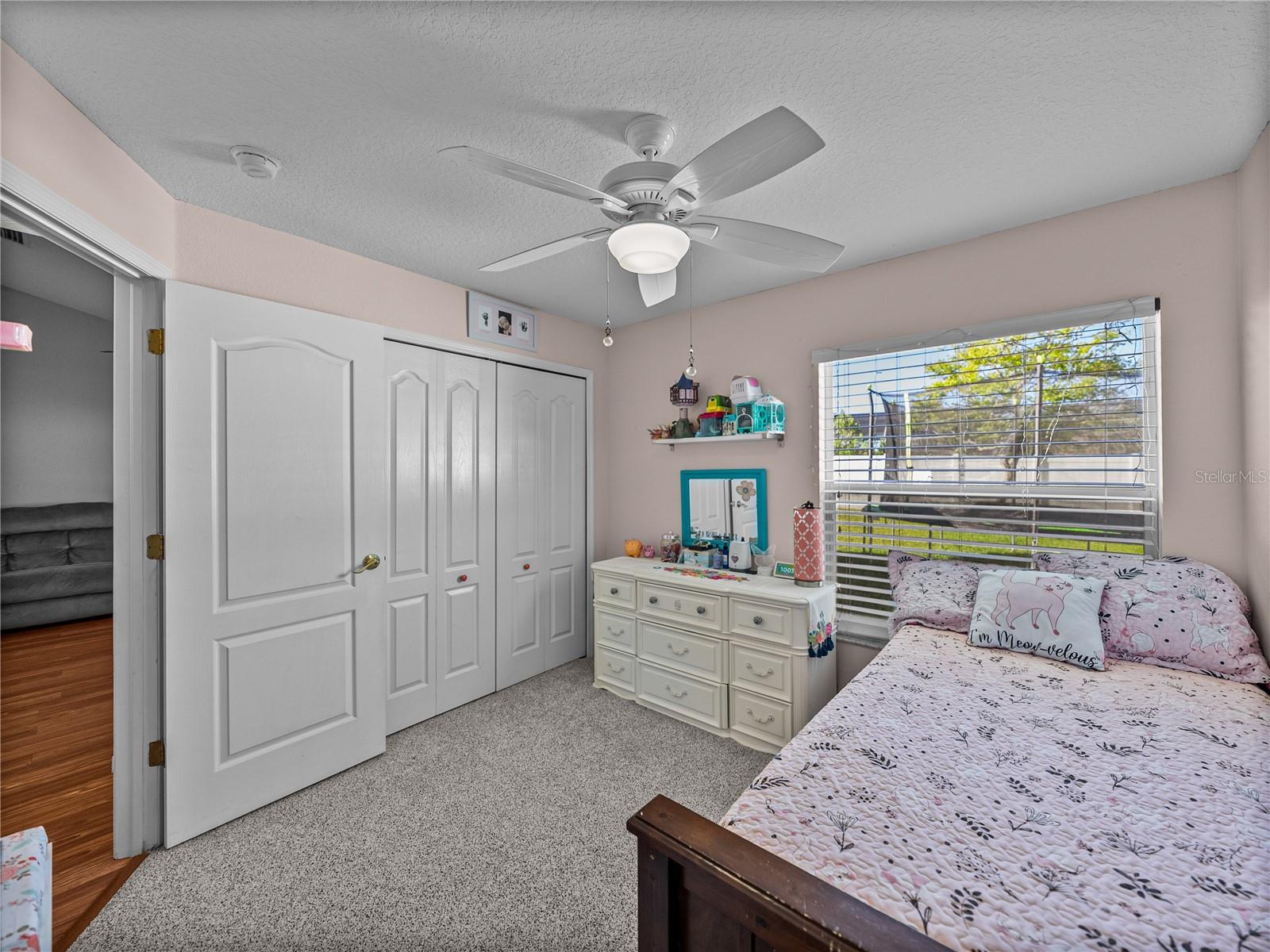 30830 BIRDHOUSE DR, WESLEY CHAPEL, FL, 33545