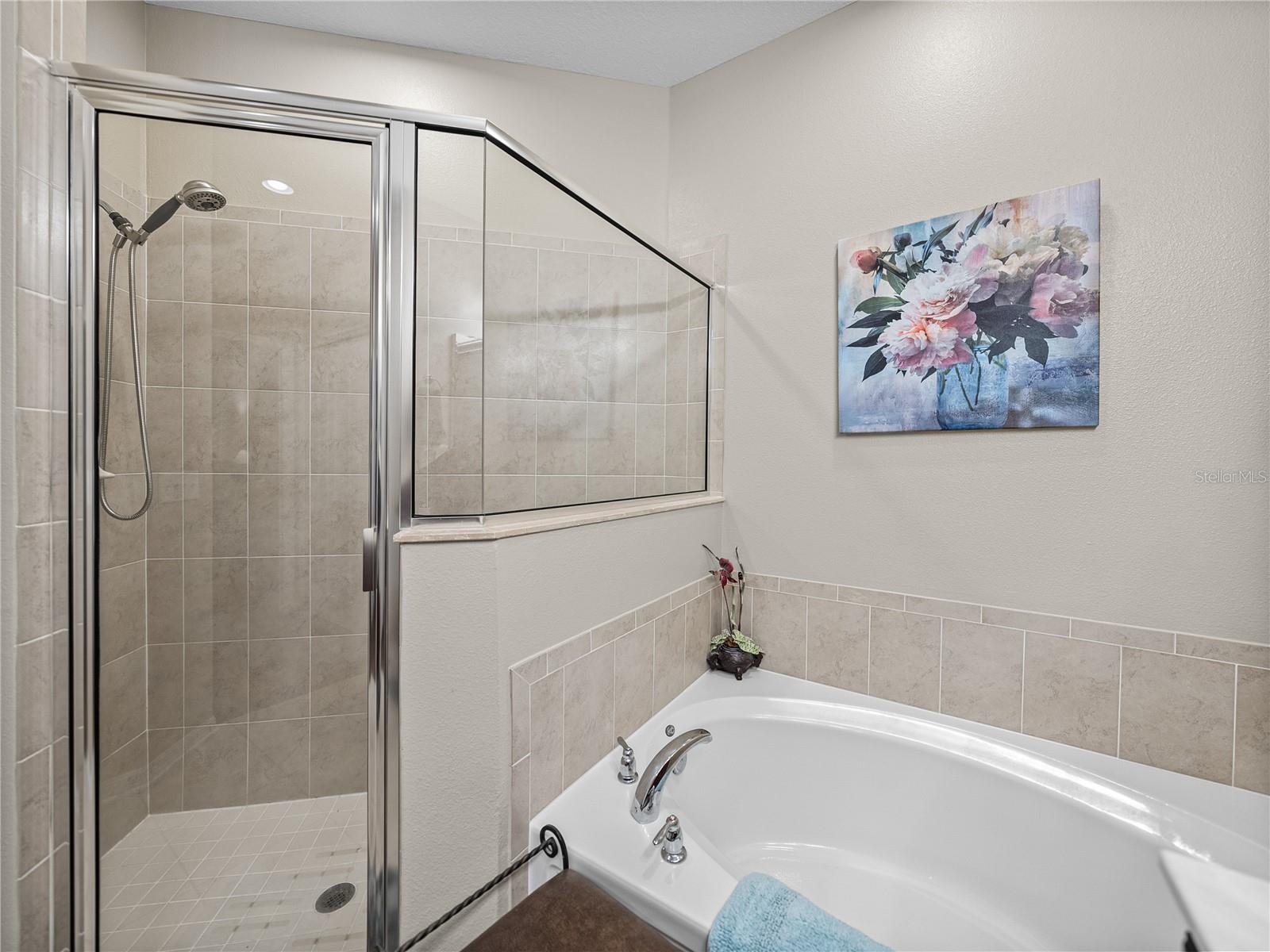11442 CAMBRAY CREEK LOOP, RIVERVIEW, FL, 33579