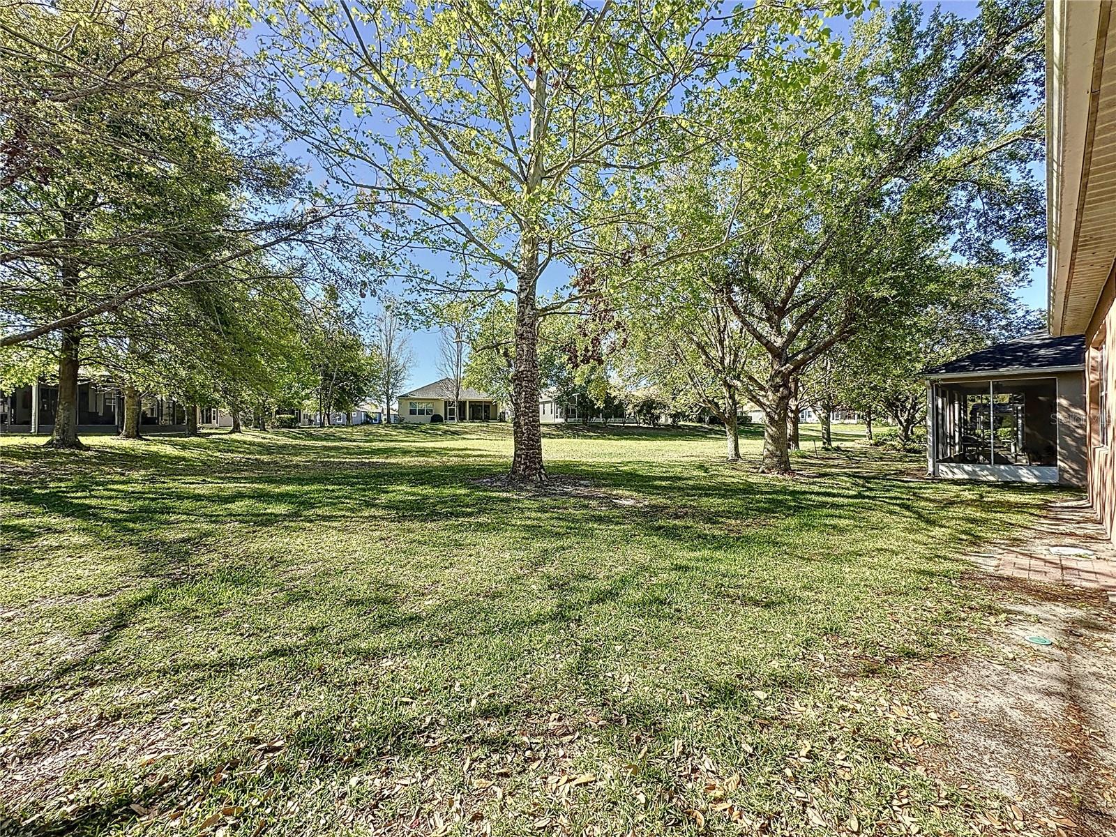 120 CREPE MYRTLE DR, GROVELAND, FL, 34736