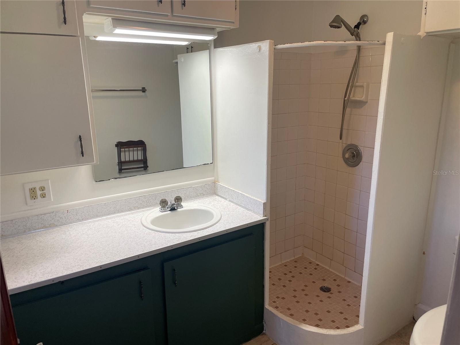 456 W MINNEOLA AVE, CLERMONT, FL, 34711