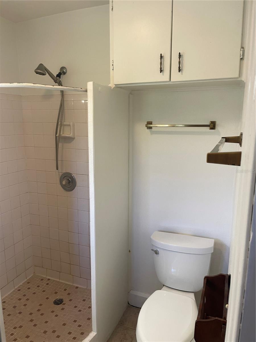 456 W MINNEOLA AVE, CLERMONT, FL, 34711