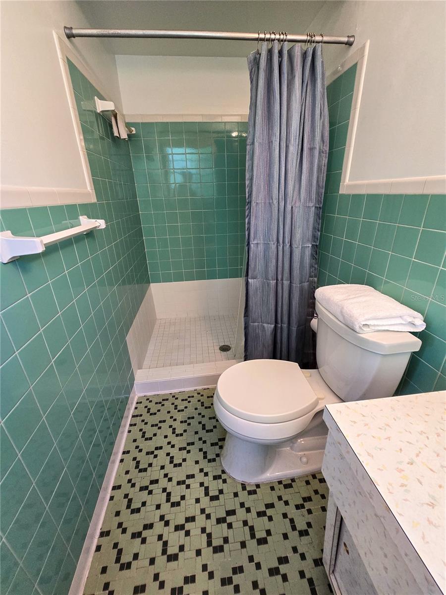 1602 E HENRY AVE, TAMPA, FL, 33610