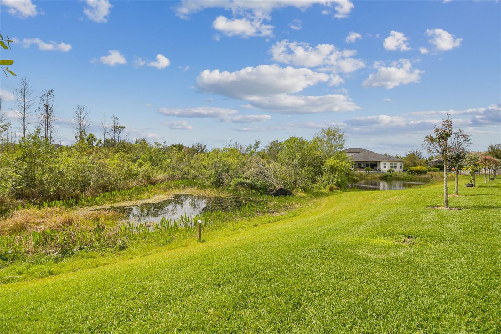 2709 COCO PALM CIR, WESLEY CHAPEL, FL, 33543