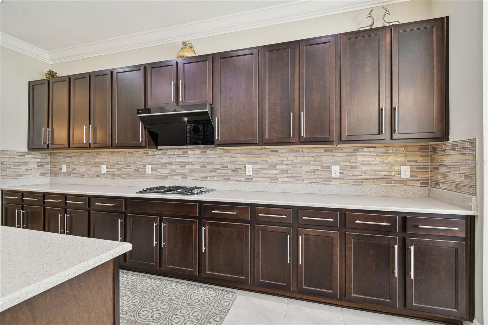 2709 COCO PALM CIR, WESLEY CHAPEL, FL, 33543