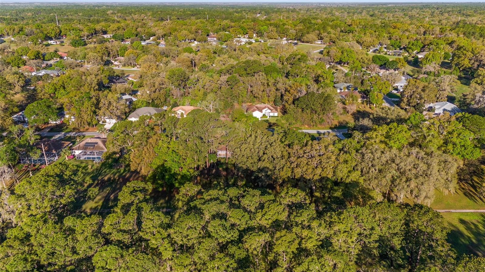 8869 SW 194TH CT, DUNNELLON, FL, 34432