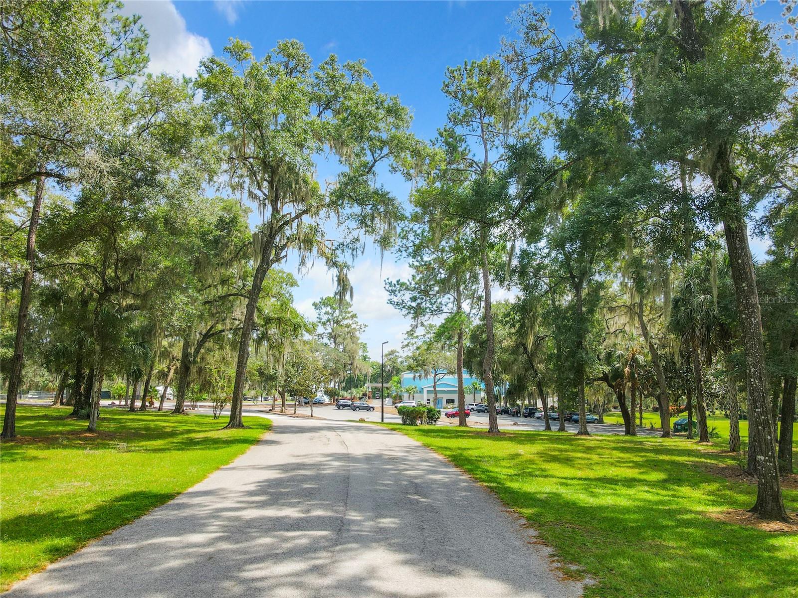 8869 SW 194TH CT, DUNNELLON, FL, 34432