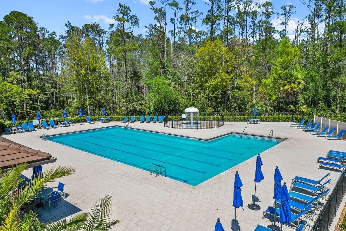 14931 HAWKSMOOR RUN CIR, ORLANDO, FL, 32828