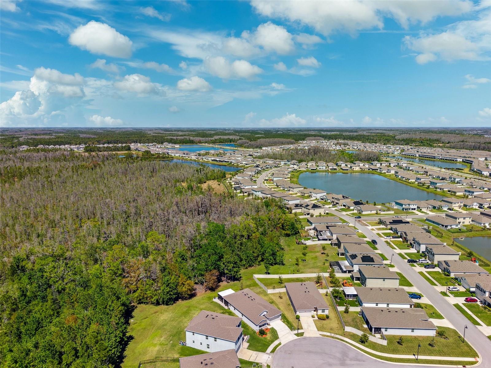 15793 MIDNIGHT DOVE CT, ODESSA, FL, 33556