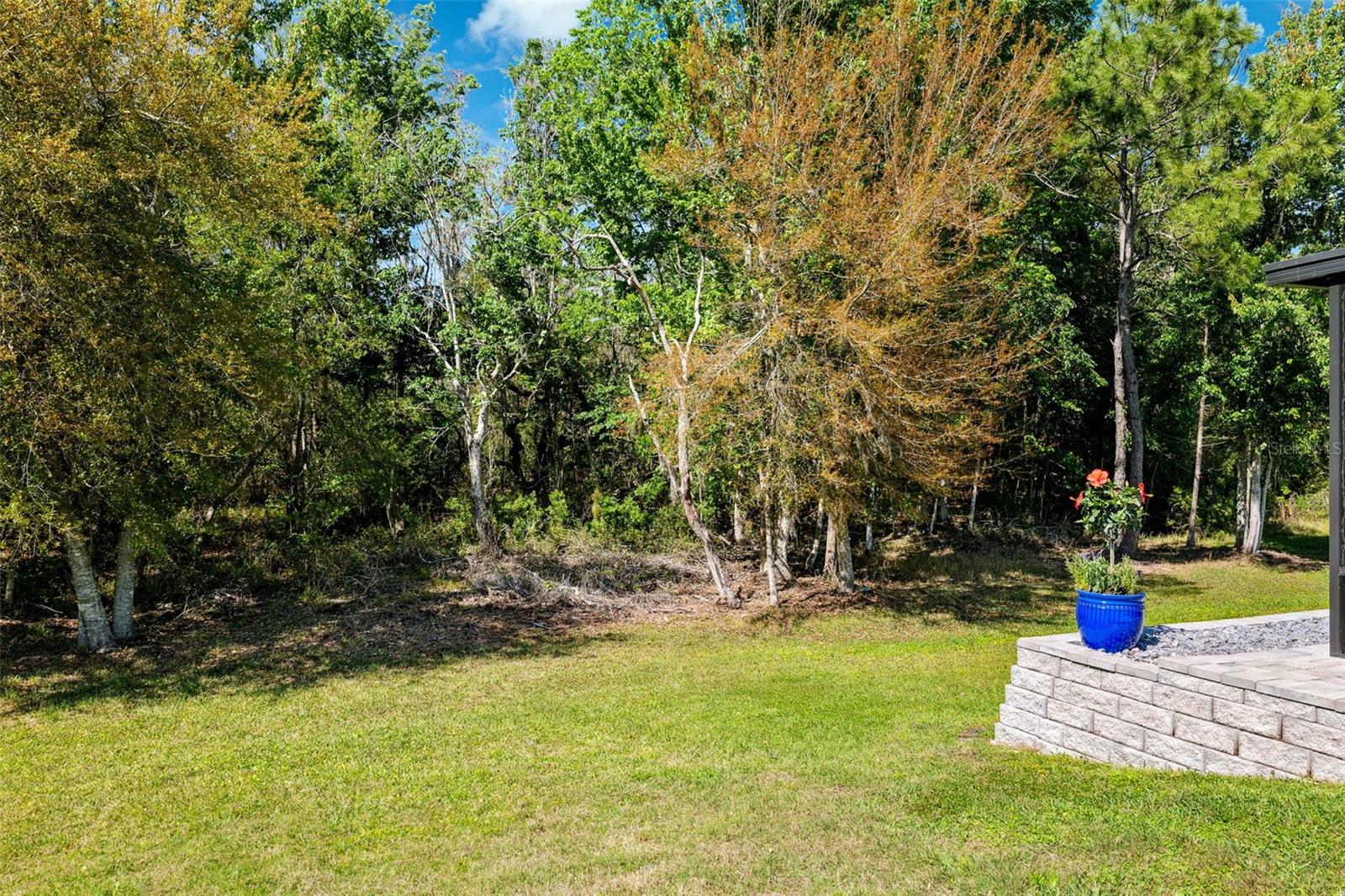 15793 MIDNIGHT DOVE CT, ODESSA, FL, 33556