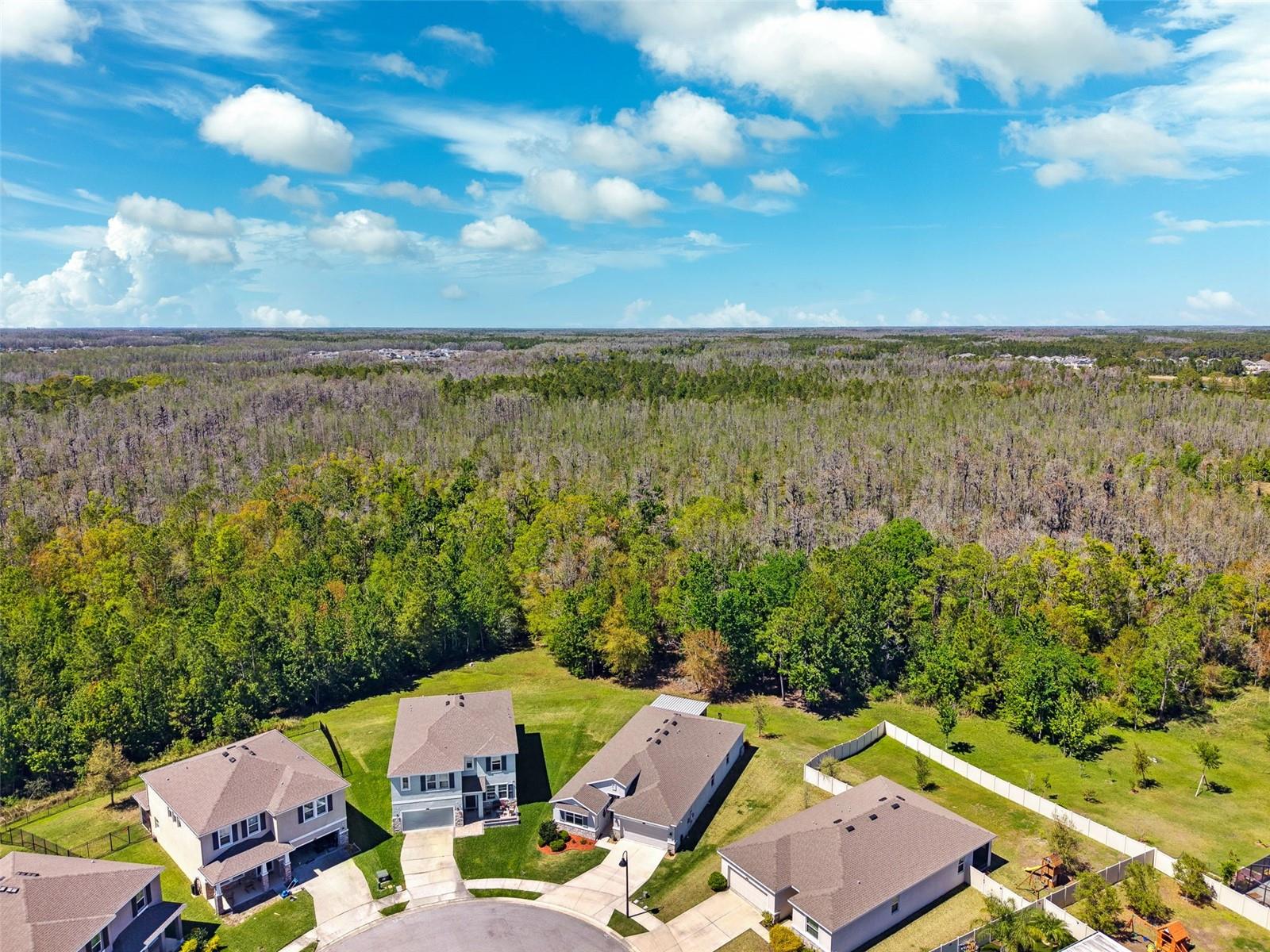 15793 MIDNIGHT DOVE CT, ODESSA, FL, 33556