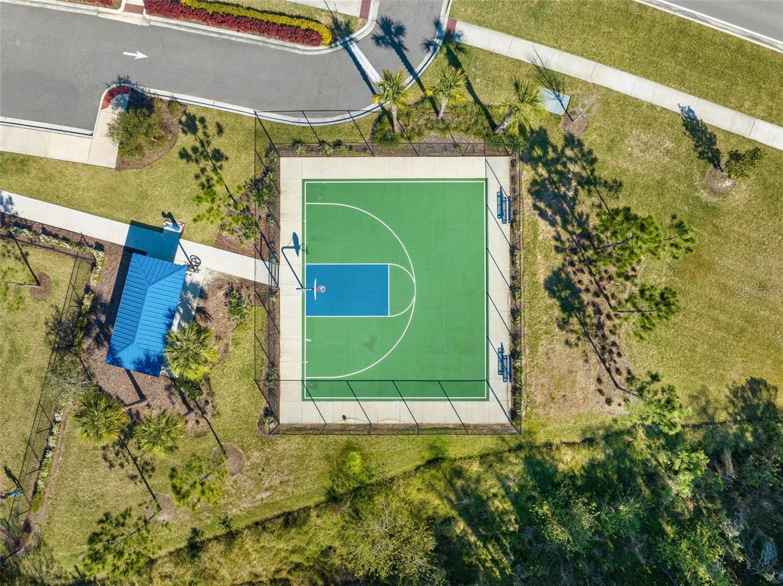 15793 MIDNIGHT DOVE CT, ODESSA, FL, 33556