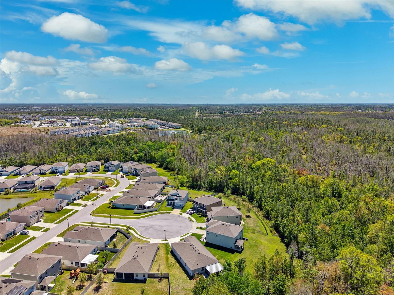 15793 MIDNIGHT DOVE CT, ODESSA, FL, 33556