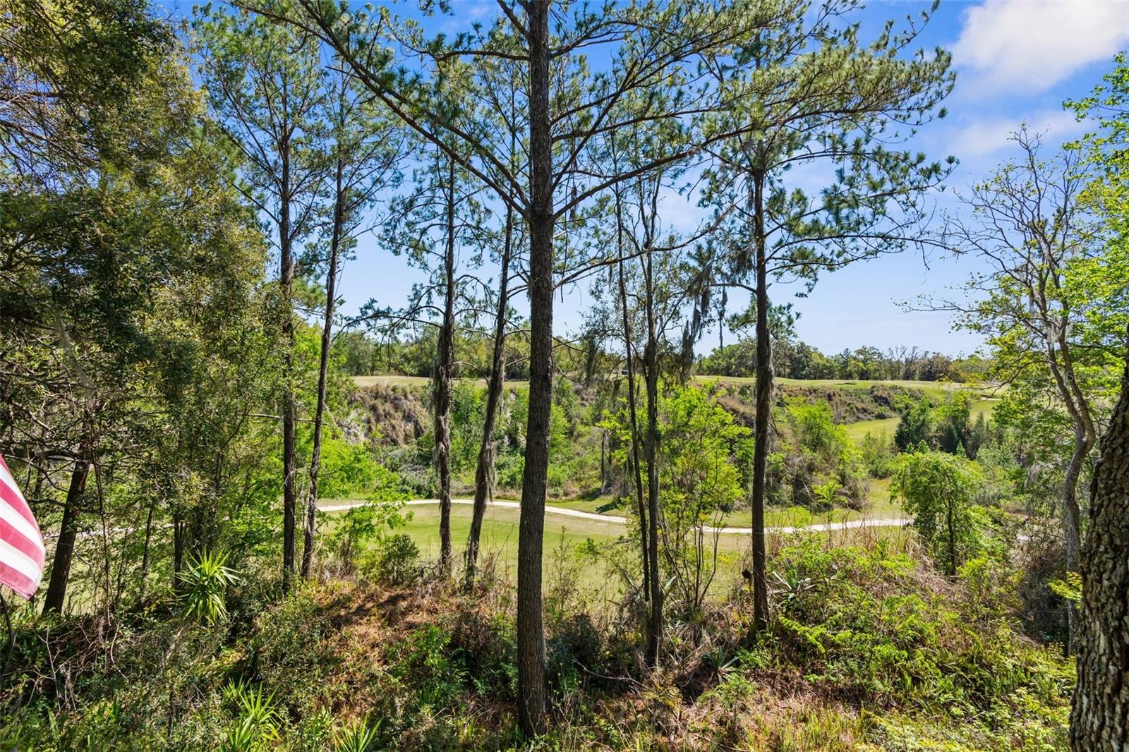 23298 CHRISTIAN CIR, BROOKSVILLE, FL, 34601