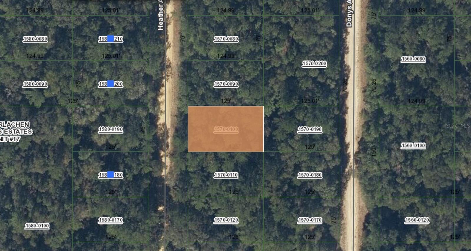 00 HEATHER AVE, INTERLACHEN, FL, 32148