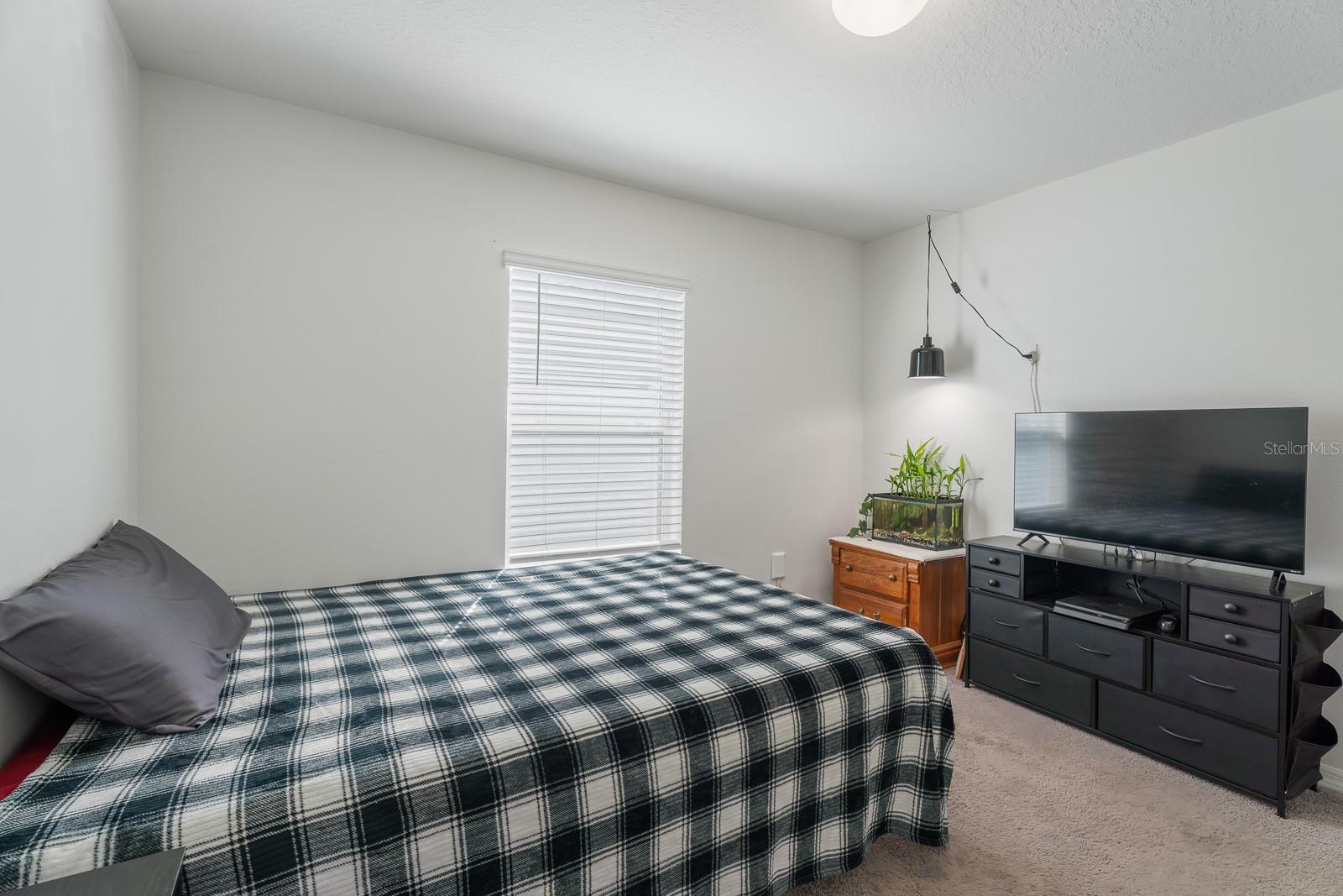 1341 MATTIE POINTE BLVD, AUBURNDALE, FL, 33823