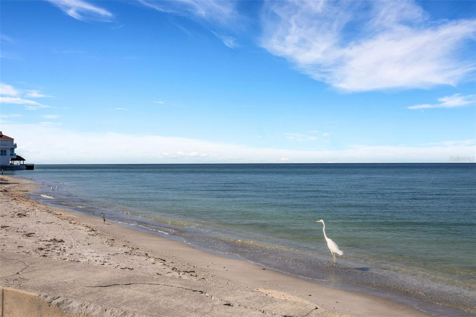 9247 BLIND PASS RD, SARASOTA, FL, 34242