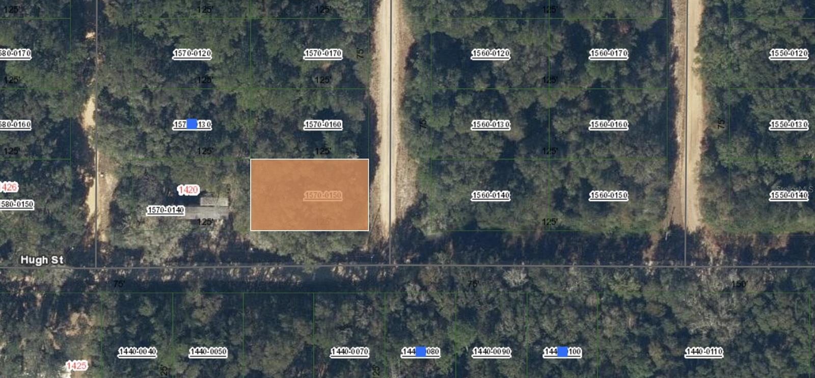 00 DONYS AVE, INTERLACHEN, FL, 32148
