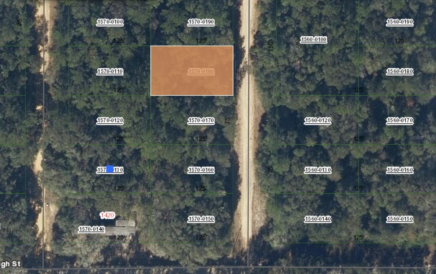 00 DONYS AVE, INTERLACHEN, FL, 32148