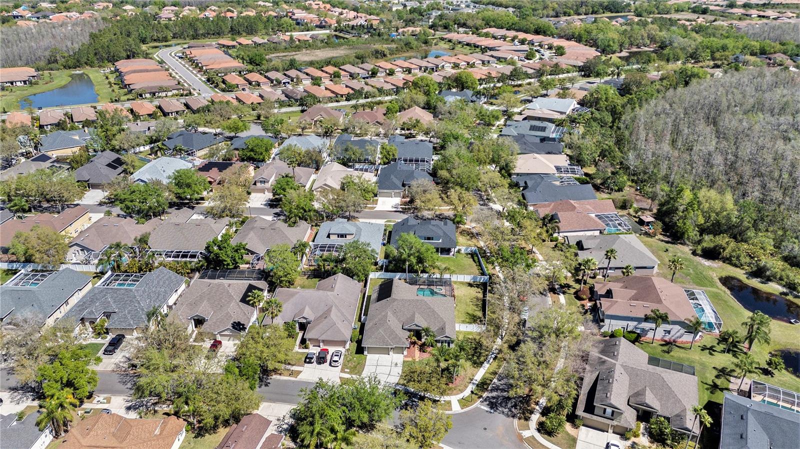19328 AUTUMN WOODS AVE, TAMPA, FL, 33647