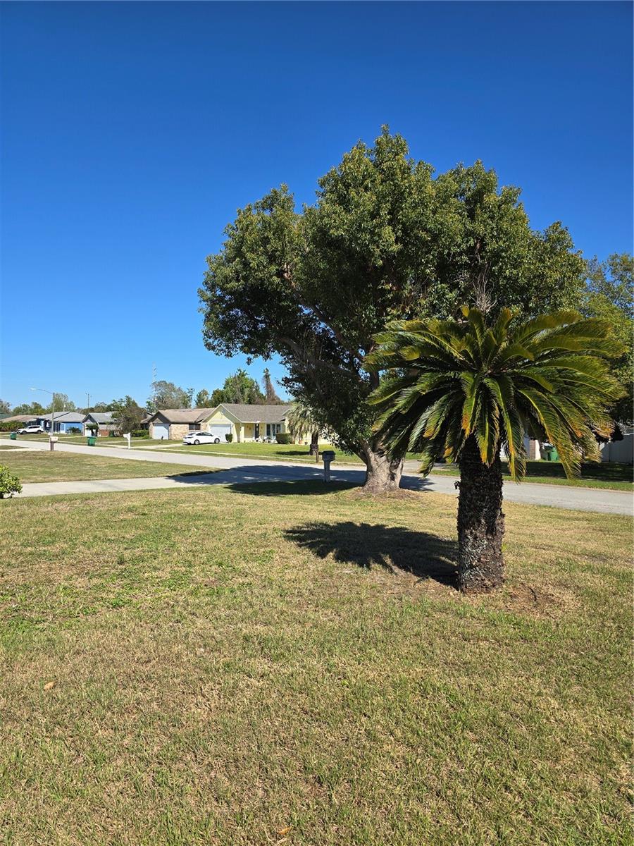 832 SHENANDOAH AVE, DELTONA, FL, 32725