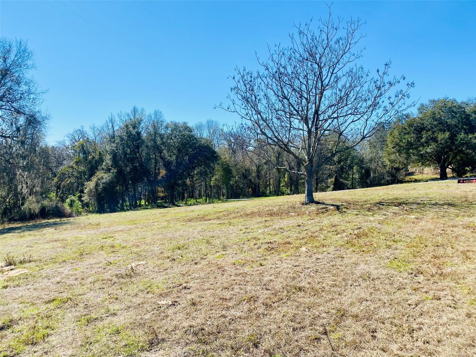 33234 CHIPCO RANCH RD, DADE CITY, FL, 33523