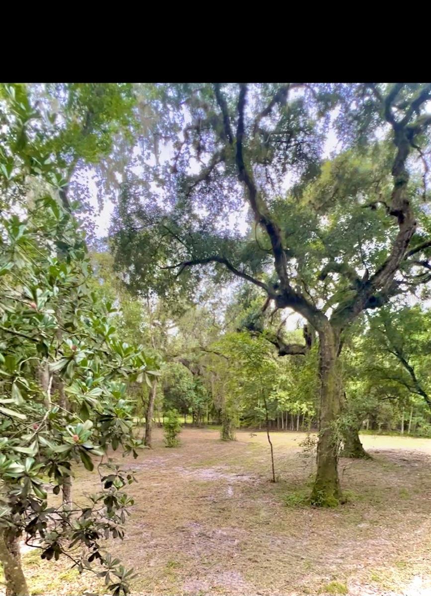 33234 CHIPCO RANCH RD, DADE CITY, FL, 33523